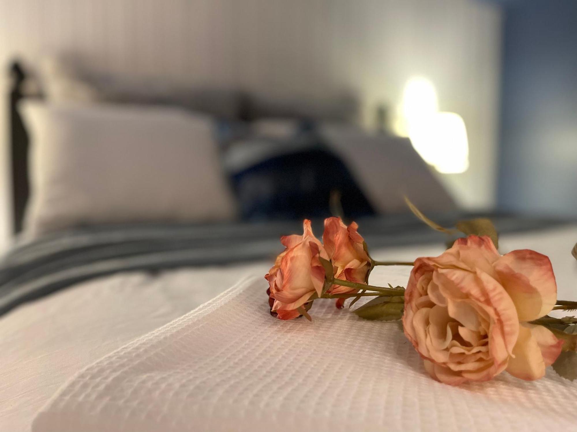 Golf Viwe House Hotel Ottawa Eksteriør billede